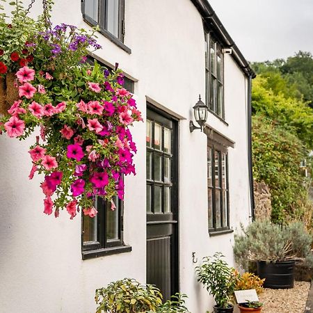 Woodview - Cosy 1840S Cottage In Chew Valley And Mendip Aonb Compton Martin Eksteriør billede