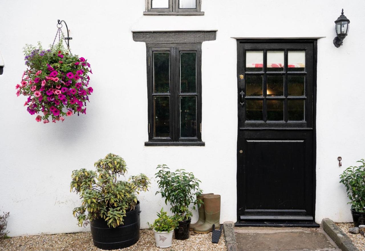 Woodview - Cosy 1840S Cottage In Chew Valley And Mendip Aonb Compton Martin Eksteriør billede