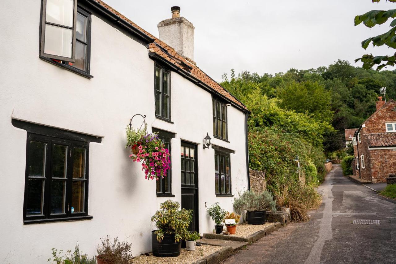 Woodview - Cosy 1840S Cottage In Chew Valley And Mendip Aonb Compton Martin Eksteriør billede