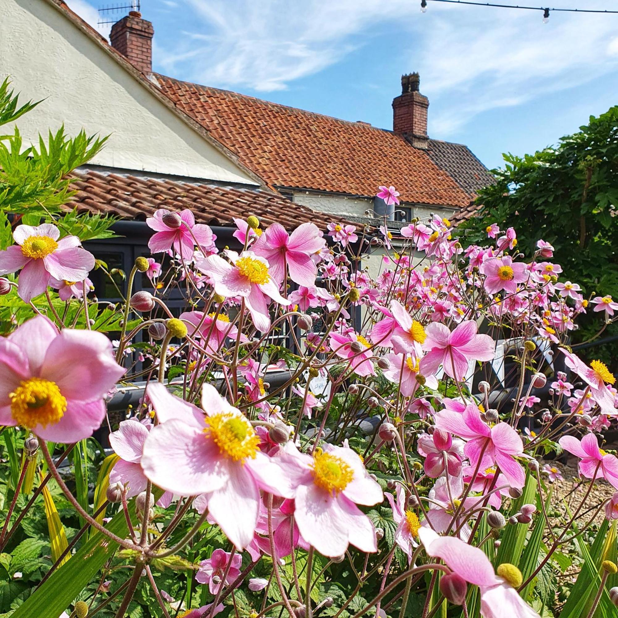 Woodview - Cosy 1840S Cottage In Chew Valley And Mendip Aonb Compton Martin Eksteriør billede
